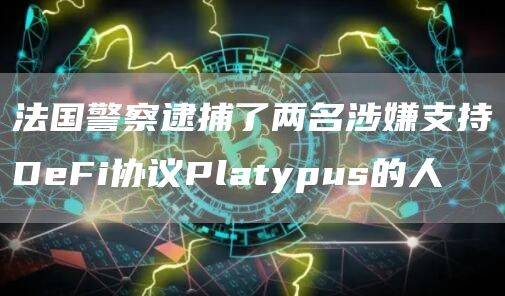 法国警察逮捕了两名涉嫌支持DeFi协议Platypus的人1