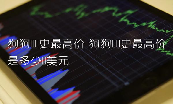 狗狗币历史最高价是多少钱美元-第1张图片-binance下载