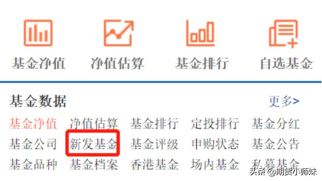 天天基金网打新基金（天天基金网打新基金下载）-第1张图片-binance下载
