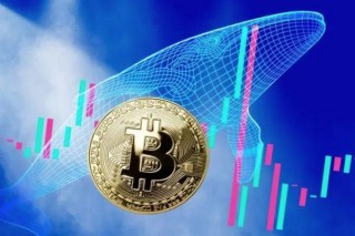 2023投资软件排行（交易所app排名前十）