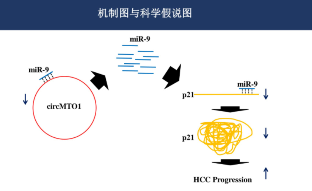 关于基金的ppt课件（关于基金的ppt课件下载）-第5张图片-binance下载