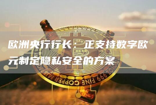 欧洲央行行长：正支持数字欧元制定隐私安全的方案1