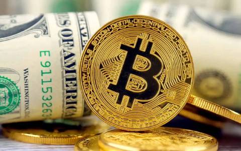 抹茶pc端(v6.1.36)_安卓下载抹茶5