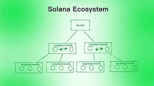 Aptos是资本推动的又一个Solana吗?-第5张图片-binance下载 Aptos是资本推动的又一个Solana吗?-第5张图片-binance下载