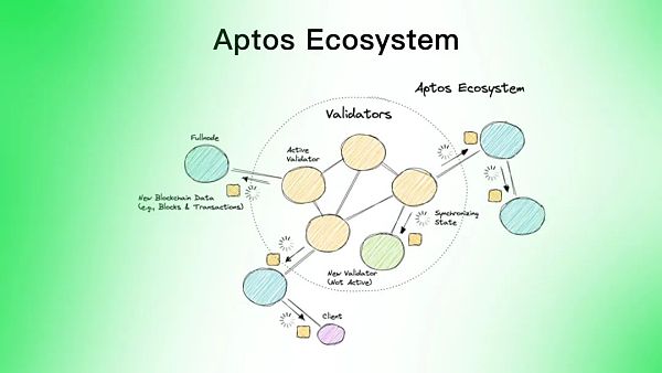 Aptos是资本推动的又一个Solana吗?-第6张图片-binance下载 Aptos是资本推动的又一个Solana吗?-第6张图片-binance下载
