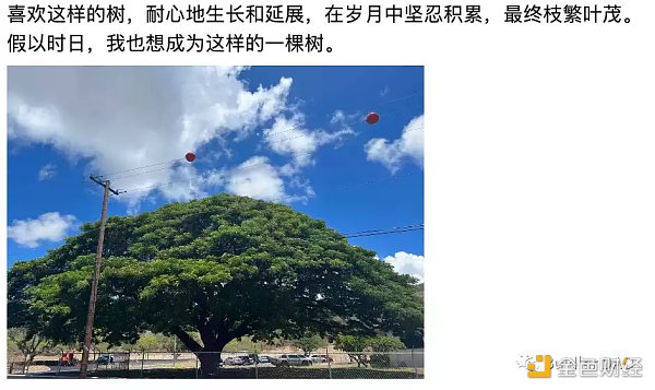 Women in Web3:区块链的超级女性力量-第2张图片-binance下载 Women in Web3:区块链的超级女性力量-第2张图片-binance下载
