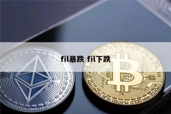 fil币为什么一直暴跌 为什么这么多人坚信FIL会飙升-第1张图片-binance下载