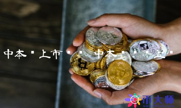 中本聪上市时间-第1张图片-binance下载