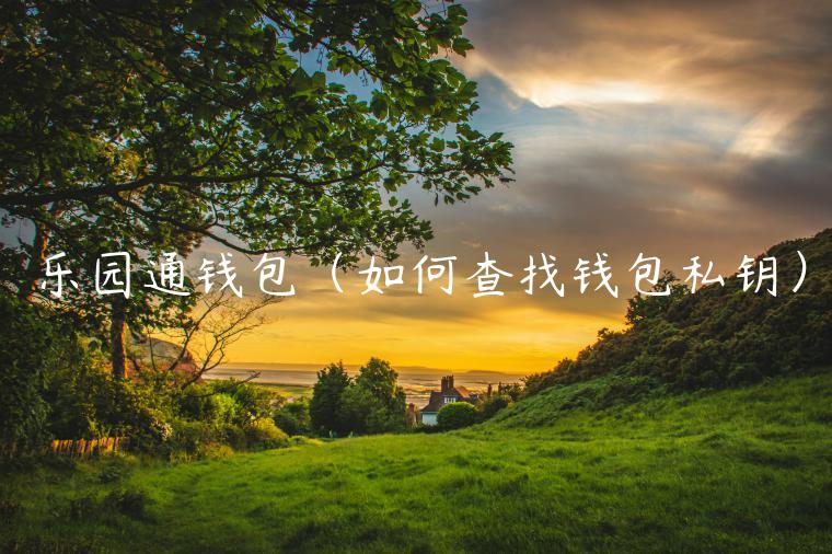 乐园通钱包(如何查找钱包私钥)-第1张图片-binance下载 乐园通钱包(如何查找钱包私钥)-第1张图片-binance下载