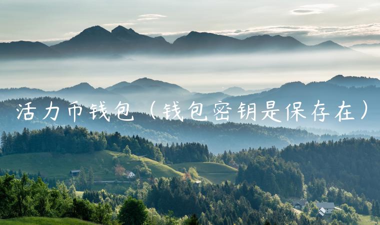 活力币钱包(钱包密钥是保存在)-第1张图片-binance下载 活力币钱包(钱包密钥是保存在)-第1张图片-binance下载