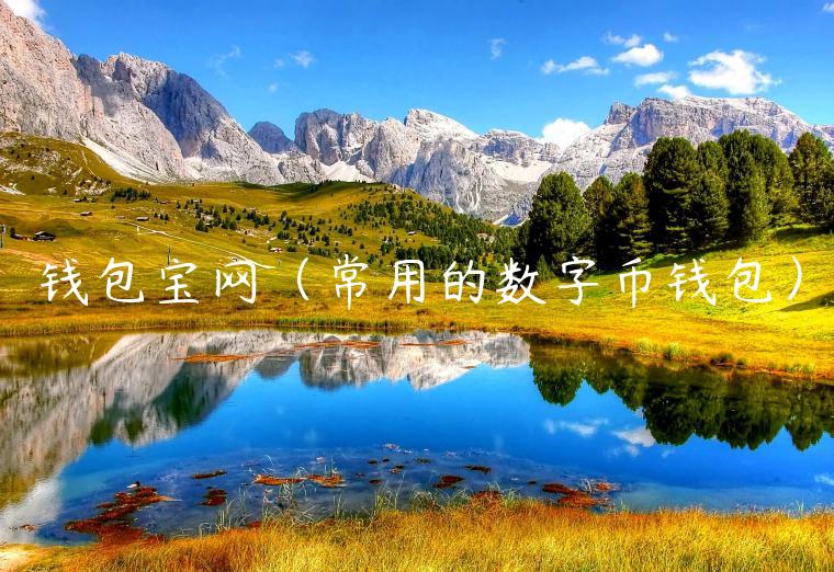 钱包宝网(常用的数字币钱包)-第1张图片-binance下载 钱包宝网(常用的数字币钱包)-第1张图片-binance下载