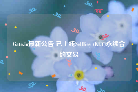 Gate.io最新公告 已上线SelfKey (KEY)永续合约交易-第1张图片-binance下载 Gate.io最新公告 已上线SelfKey (KEY)永续合约交易-第1张图片-binance下载
