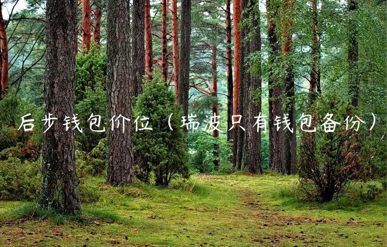 后步钱包价位(瑞波只有钱包备份)-第1张图片-binance下载 后步钱包价位(瑞波只有钱包备份)-第1张图片-binance下载