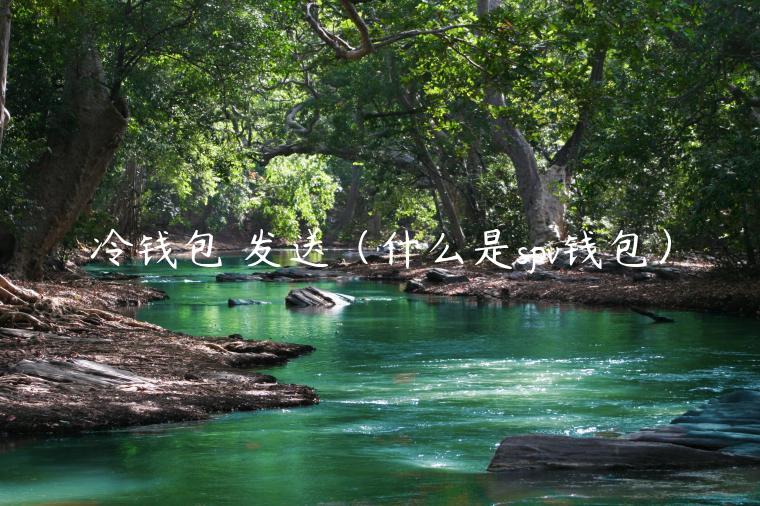 冷钱包 发送(什么是spv钱包)-第1张图片-binance下载 冷钱包 发送(什么是spv钱包)-第1张图片-binance下载