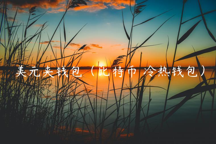 美元夹钱包(比特币 冷热钱包)-第1张图片-binance下载 美元夹钱包(比特币 冷热钱包)-第1张图片-binance下载