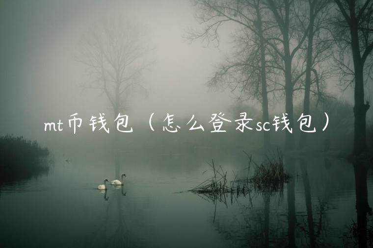 mt币钱包(怎么登录sc钱包)-第1张图片-binance下载 mt币钱包(怎么登录sc钱包)-第1张图片-binance下载