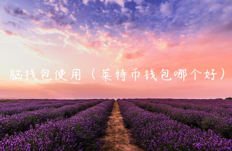 脑钱包使用(莱特币钱包哪个好)-第1张图片-binance下载 脑钱包使用(莱特币钱包哪个好)-第1张图片-binance下载