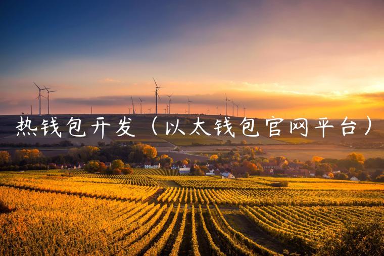 热钱包开发(以太钱包官网平台)-第1张图片-binance下载 热钱包开发(以太钱包官网平台)-第1张图片-binance下载