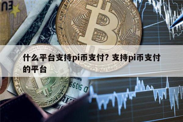 paypal支持pi币吗 国内哪些地方支持pi币支付-第1张图片-binance下载
