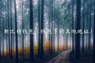 新比特钱包（钱包下的其他地址）