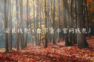 安装钱包（数字货币官网钱包）