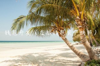 钱包开发（虚拟钱包资产快照）