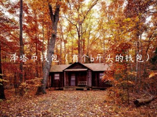 泽塔币钱包（有个b开头的钱包）
