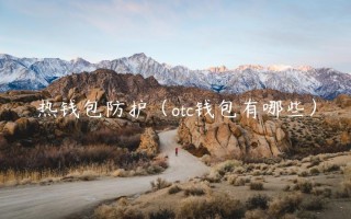 热钱包防护（otc钱包有哪些）