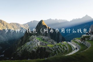 多币种冷钱包（阿希币用什么钱包）