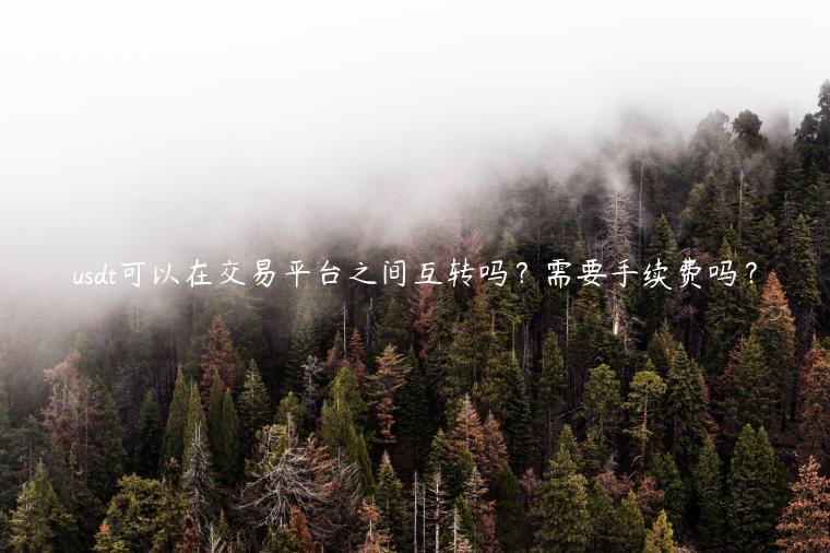 usdt可以在交易平台之间互转吗?需要手续费吗?-第1张图片-binance下载 usdt可以在交易平台之间互转吗?需要手续费吗?-第1张图片-binance下载