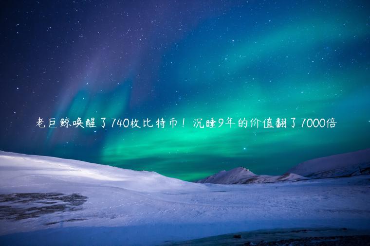 老巨鲸唤醒了740枚比特币！沉睡9年的价值翻了7000倍-第1张图片-binance下载