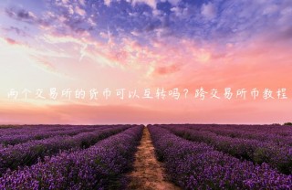 两个交易所的货币可以互转吗？跨交易所币教程