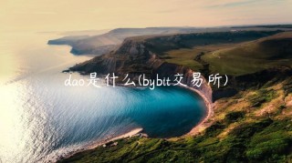dao是什么 - bybit交易所