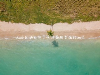 chaobi区块链除了啥须要被发掘的stn币