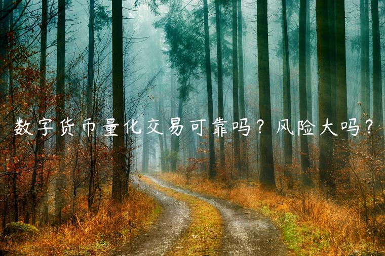 数字货币量化交易可靠吗？风险大吗？-第1张图片-binance下载