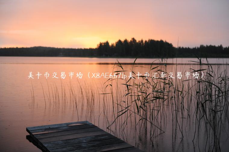 美卡币交易市场（8A667Ip美卡币汇率交易市场）-第1张图片-binance下载