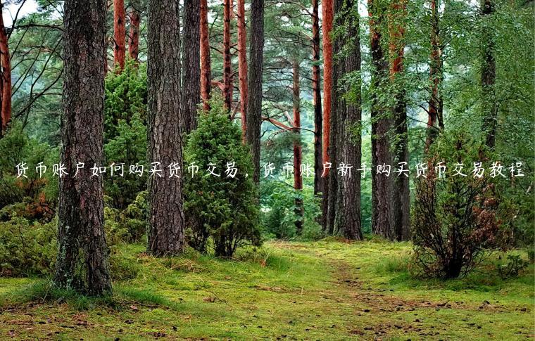 货币账户如何购买货币交易，货币账户新手购买货币交易教程-第1张图片-binance下载