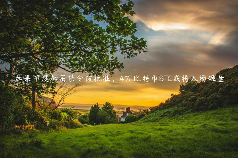 如果印度加密禁令被批准，4万比特币BTC或将入场砸盘-第1张图片-binance下载