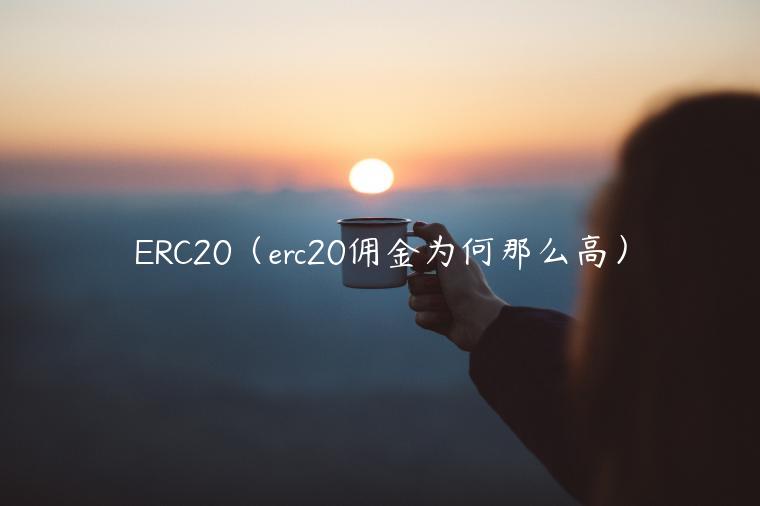 RC20（rc20佣金为何那么高）-第1张图片-binance下载