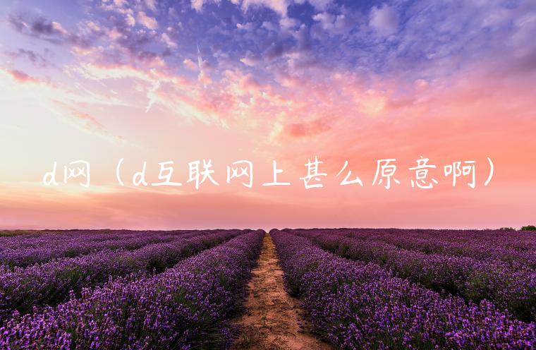 d网（d互联网上甚么原意啊）-第1张图片-binance下载
