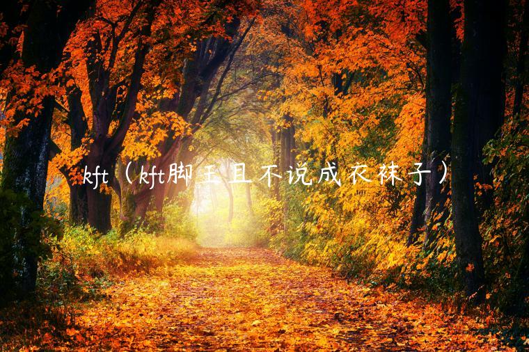 kft（kft脚王且不说成衣袜子）-第1张图片-binance下载
