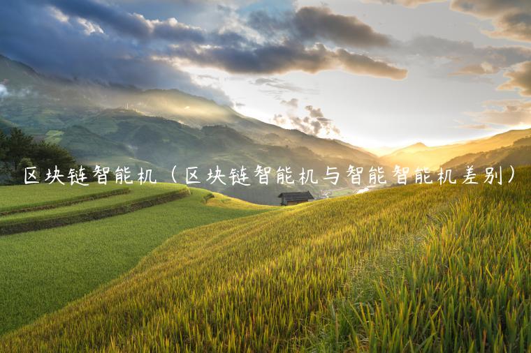 区块链智能机（区块链智能机与智能智能机差别）-第1张图片-binance下载