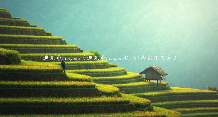 迪克币Longau(迪克币Longau机L5+两台几万元)-第1张图片-binance下载 迪克币Longau(迪克币Longau机L5+两台几万元)-第1张图片-binance下载