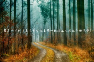 显示卡矿机（显示卡矿机本周一铁路工人装配手册很赞）