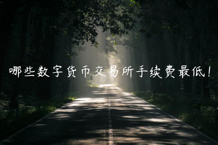 哪些数字货币 交易平台手续费最低！-第1张图片-binance下载