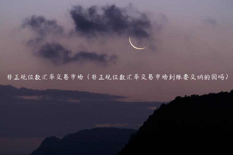 非正规位数汇率交易市场（非正规位数汇率交易市场到账要交纳的国吗）-第1张图片-binance下载