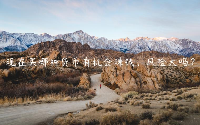 现在买哪种货币有机会赚钱，风险大吗？-第1张图片-binance下载