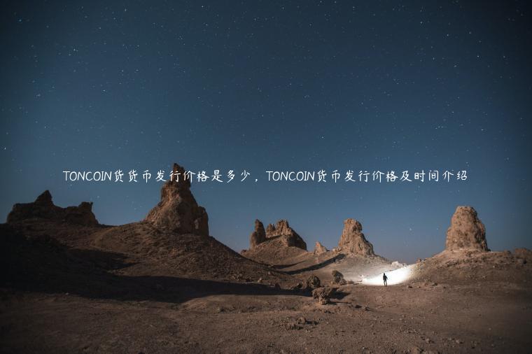 TONCOIN货货币发行价格是多少,TONCOIN货币发行价格及时间介绍-第1张图片-binance下载 TONCOIN货货币发行价格是多少,TONCOIN货币发行价格及时间介绍-第1张图片-binance下载