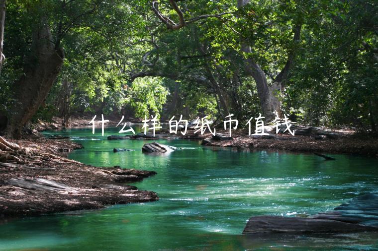 什么样的纸币值钱-第1张图片-binance下载