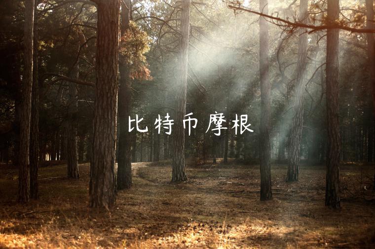 比特币摩根-第1张图片-binance下载 比特币摩根-第1张图片-binance下载